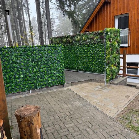 Lipno Club Villa Frymburk Kültér fotó
