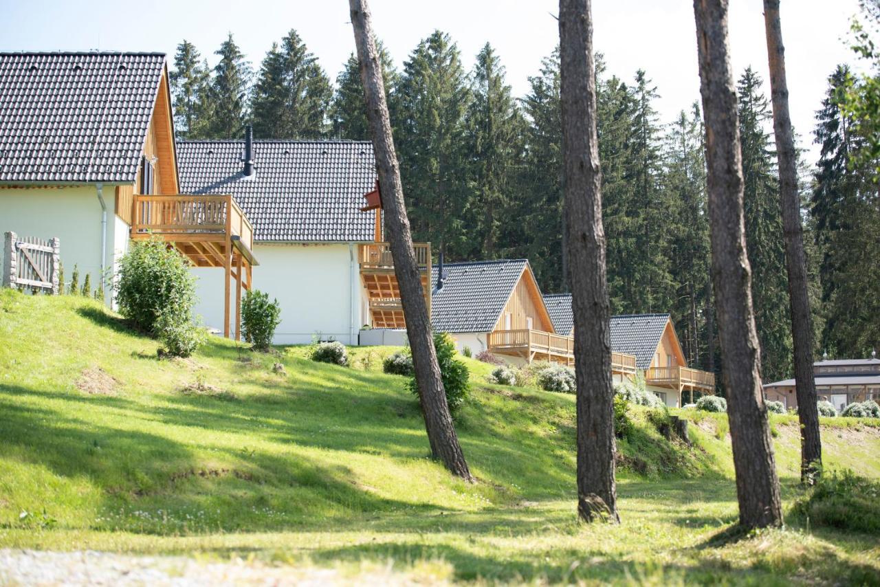 Lipno Club Villa Frymburk Kültér fotó