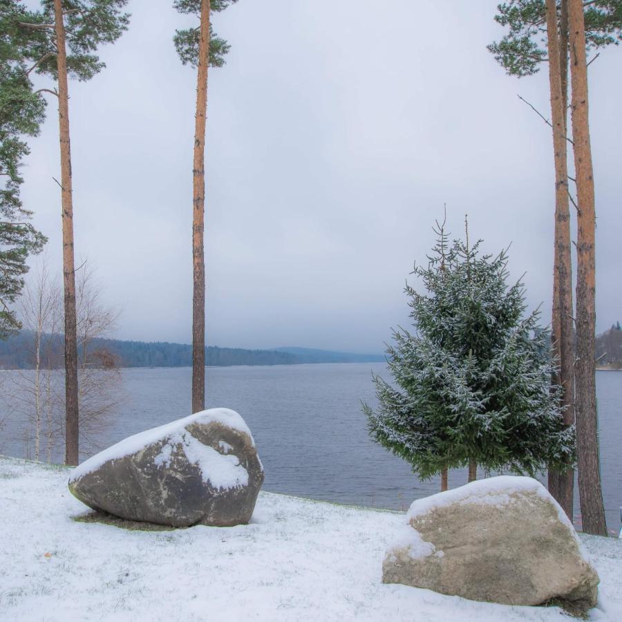 Lipno Club Villa Frymburk Kültér fotó